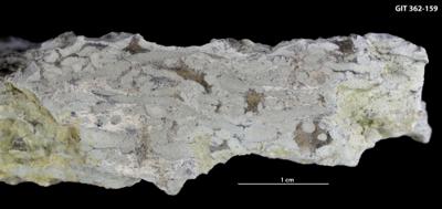 https://files.geocollections.info/large/fe/c0/fec05a44-ef8d-490a-a774-dca6e7bc0884.jpg