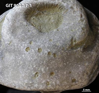 <i></i><br />Rööpli Cliff, Kõinastu,  m, Adavere Stage