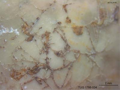 https://files.geocollections.info/large/ff/39/ff398a36-9acc-4c75-ae01-439e579cf004.jpg