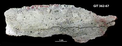 <i></i><br />Putilovo quarry, Leningrad Oblast,  m, Volkhov Stage